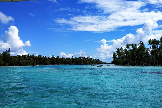 1/2 day Tahaa coral garden - departure Raiatea / ideal for cruise passengers - What the three-hour schedule feels like