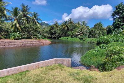 1/2 day “Treasures of Raiatea” by boat – ideal for cruise passengers
