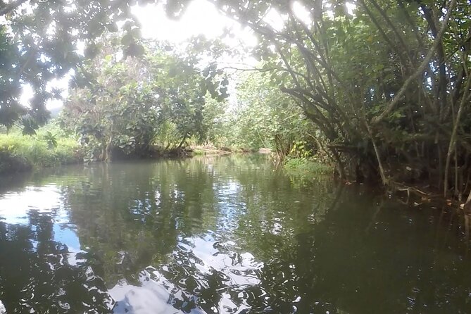 1/2 day "Treasures of Raiatea" by boat - ideal for cruise passengers - Rain can change the whole experience