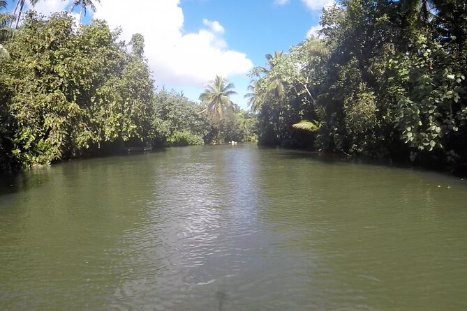 1/2 day "Treasures of Raiatea" by boat - ideal for cruise passengers - Who will get the most from this tour