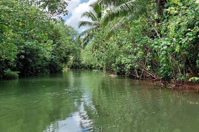 1/2 day "Treasures of Raiatea" by boat - ideal for cruise passengers - Should you book Treasures of Raiatea?