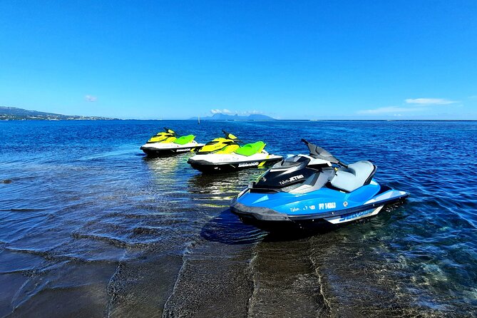 1-hour jet ski excursion in Tahiti - Wildlife can turn a good ride into a special one