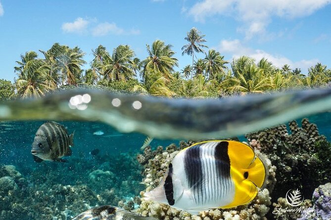 1-hour jet ski excursion in Tahiti - Price, shared jets, and the value question