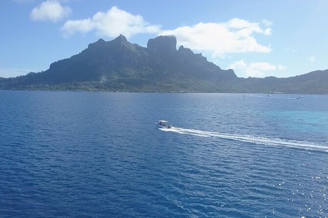 2 Dives in the morning for certified divers in Bora Bora - What happens between the two descents