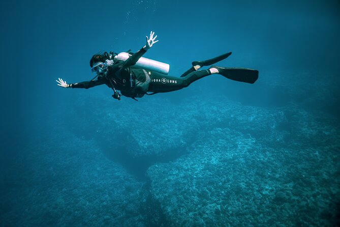 2 Dives in the morning for certified divers in Bora Bora - Who should book this outing?