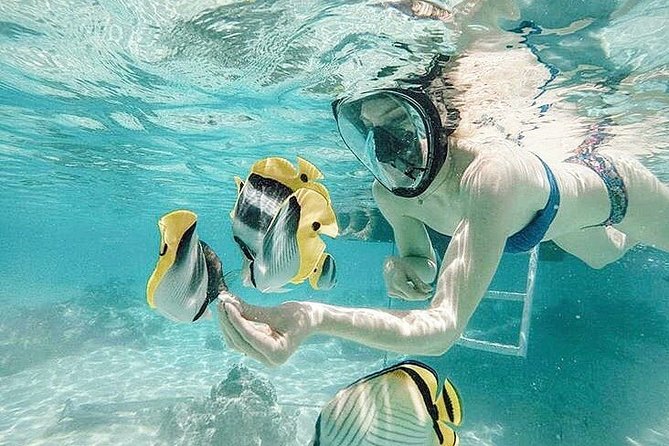 3-hour Lagoon Snorkeling Tour - Shared Tour - Key points at a glance