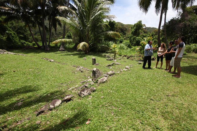 3-Hour Rarotonga Island Discovery Tour - Is $62.06 a fair price?