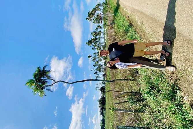3-Hour Tongatapu West Coast Scenic Tour - Kolovai’s fruit bats in the ironwood pines