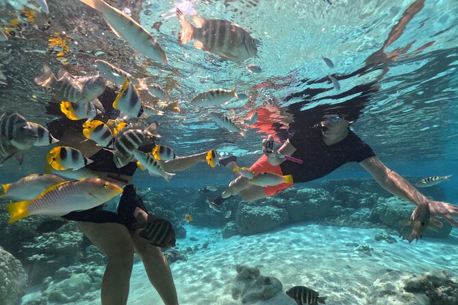 3H Adventure in JET SKI Snorkeling and Tahaa Lagoon - Riding from Raiatea toward Taha’a