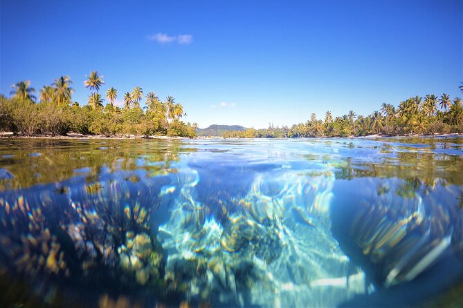 3H Adventure in JET SKI Snorkeling and Tahaa Lagoon - Floating through Taha’a Coral Garden