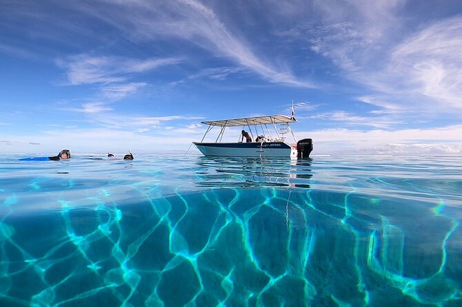 3h dolphin and snorkeling tour in a wild lagoon with Mobydick - Maraa Lagoon, Tahiti’s quieter water outing