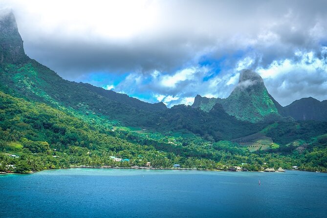 4 Hour Private Humpback Whales Encounter in Moorea - Who should book this Moorea whale encounter?