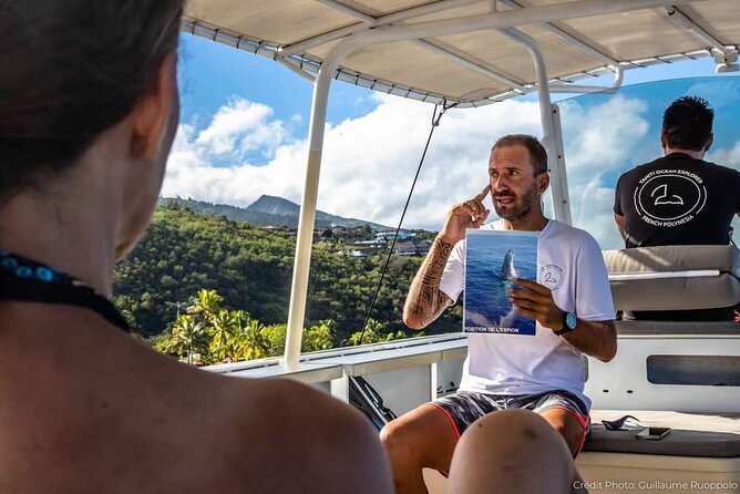 4 Hours of Humpback Whale Watching in Tahiti - Why the four-hour length matters