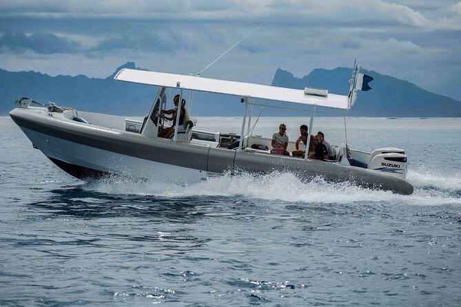 4 Hours of Humpback Whale Watching in Tahiti - Is $127.54 a fair price?