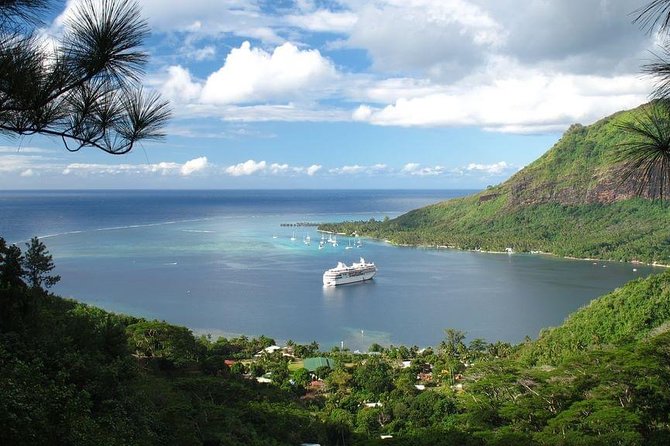 4x4 Moorea Safari Tours : With Hotel transfers - Eels, fresh coconut, and the small moments between lookouts