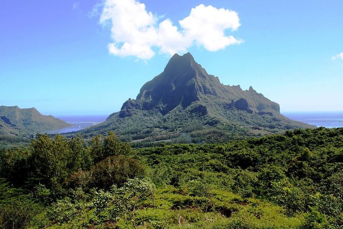 4x4 Moorea Safari Tours : With Hotel transfers - What four hours feels like on Moorea
