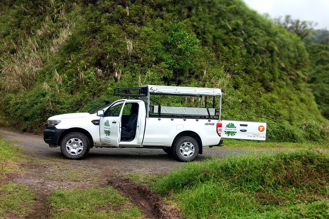 4x4 Safari HEREAKIMANU Tour in the Heart of Tahiti - What the $143.27 price gets you