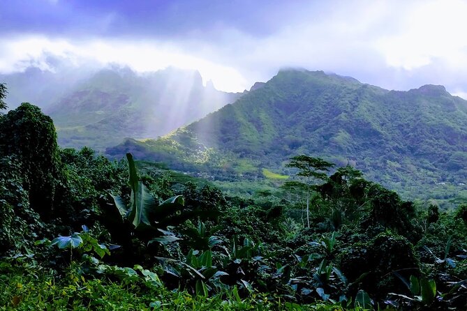 4x4 Tour – Culture, Crafts and Agritourism in Raiatea - Why this short Raiatea tour works so well