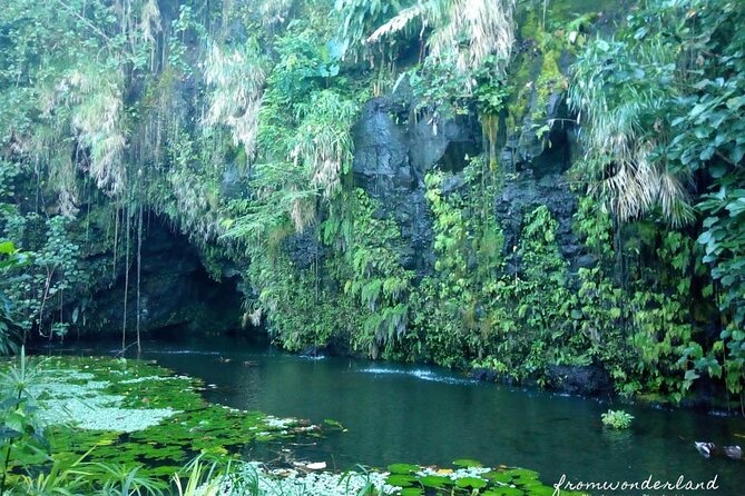 5 Hours Tahiti Island Tour - West and East Coast - The guide is the heart of the experience