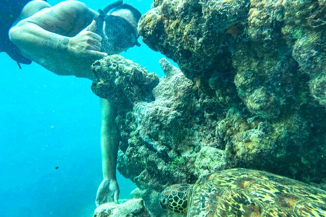 A Cook Islands Turtle Tour - small groups, premium experience - Who will get the most from this tour