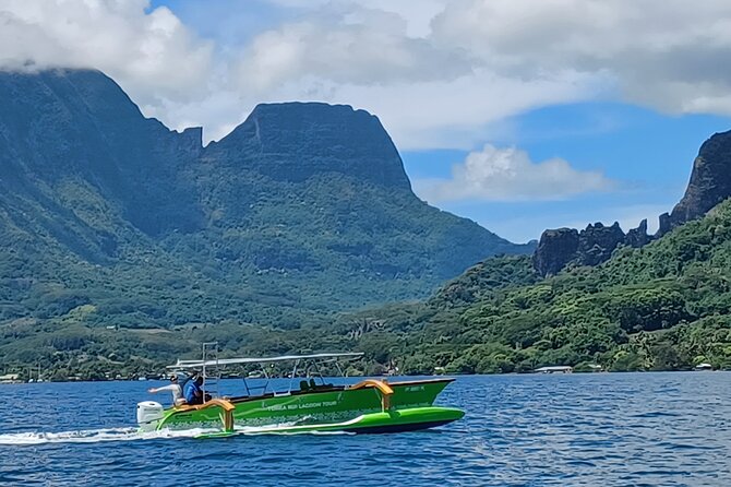 Activity/Excursion Lagoon Tour to Moorea by Canoe 6 hours - The underwater tiki stop and sea turtle area
