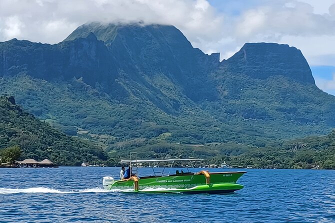 Activity/Excursion Lagoon Tour to Moorea by Canoe 6 hours - Guides who shape the day