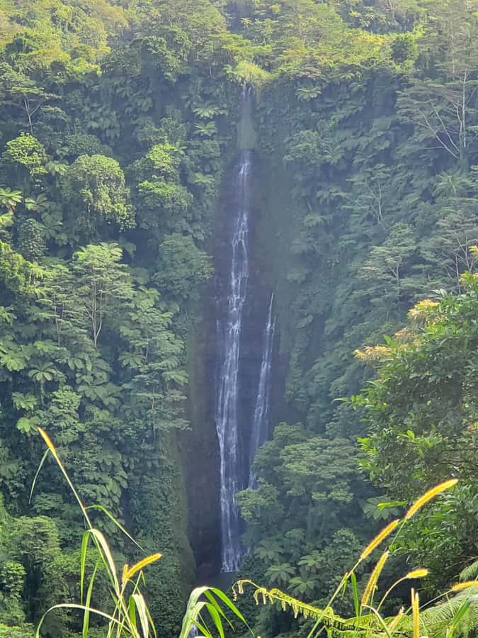 Adventour Samoa: Full Day Tour - How good is the $250 value?