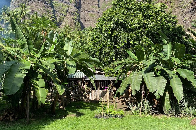 Adventurous Escape to Hakaui Valley - Why the ancient sites matter