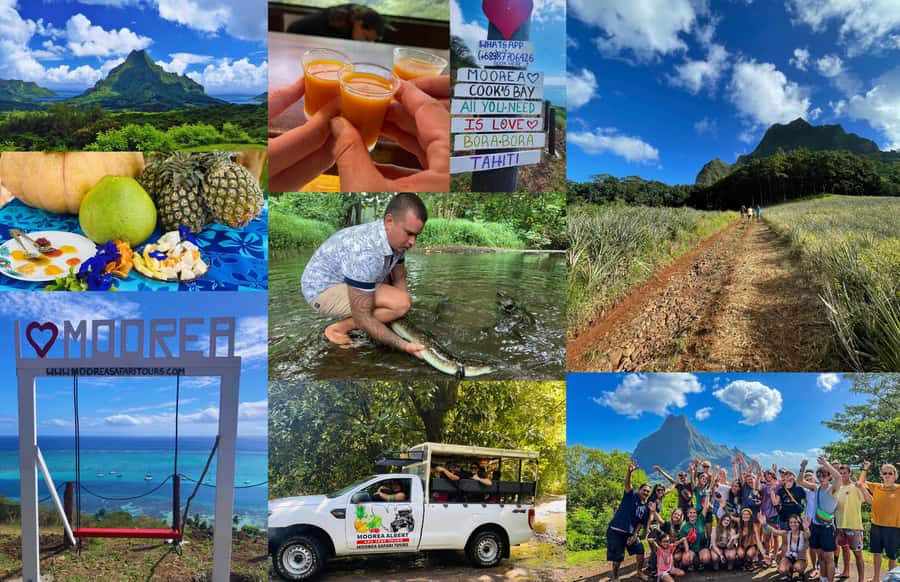 Albert Tours Excursion Safari - Moorea Safari tours&pick up - Why this three-hour Moorea safari works so well