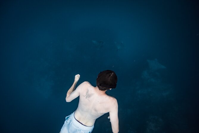 An Eagle Ray and Turtle Tour-Small Groups & Photography Included - Why this reef visit feels different
