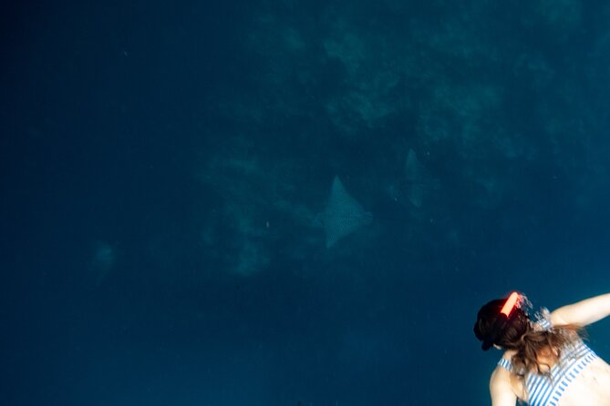 An Eagle Ray and Turtle Tour-Small Groups & Photography Included - Is $143.35 per person good value?