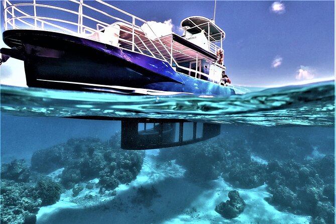 An Immersed Day in Bora Bora with O-sea - Is $200 a fair price for seven and a half hours?