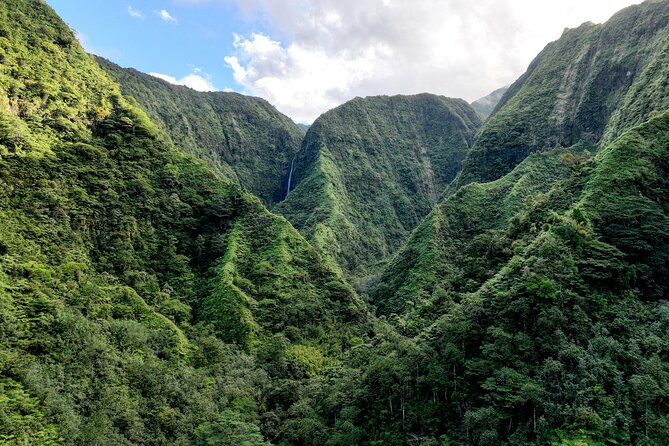 AOA Polynesian Forests - Hiking Sanctuary Biodiversity Tahiti - Why AOA Polynesian Forests feels different from a standard Tahiti outing