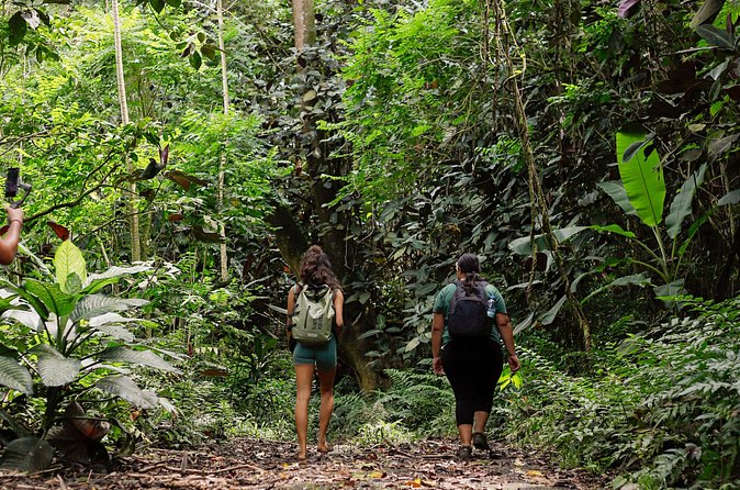AOA Polynesian Forests - Hiking Sanctuary Biodiversity Tahiti - What the $102.03 price represents