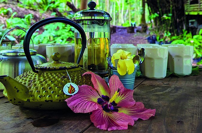 AOA Polynesian Forests - Hiking Sanctuary Biodiversity Tahiti - Who will enjoy this forest visit most