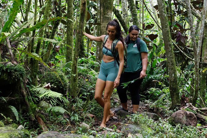 AOA Polynesian Forests - Hiking Sanctuary Biodiversity Tahiti - From bamboo forest to the grand banyan