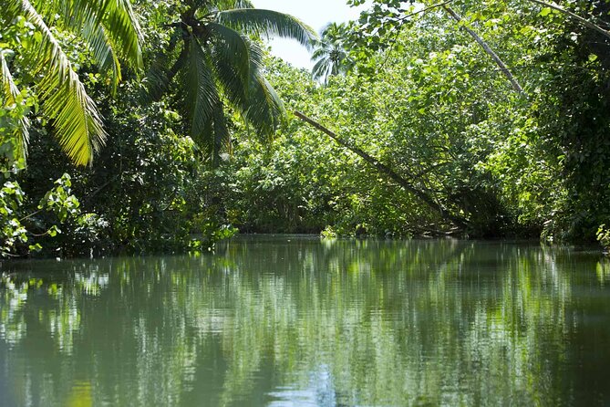Apetahi day trip around Raiatea on a modern outrigger canoe - What the $156.69 price gives you