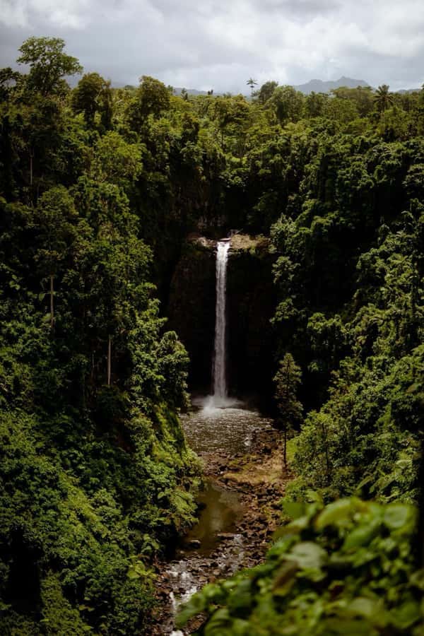 Apia Port: Cruise Guests’ Shore Excursion - What the Guide and Group Size Add