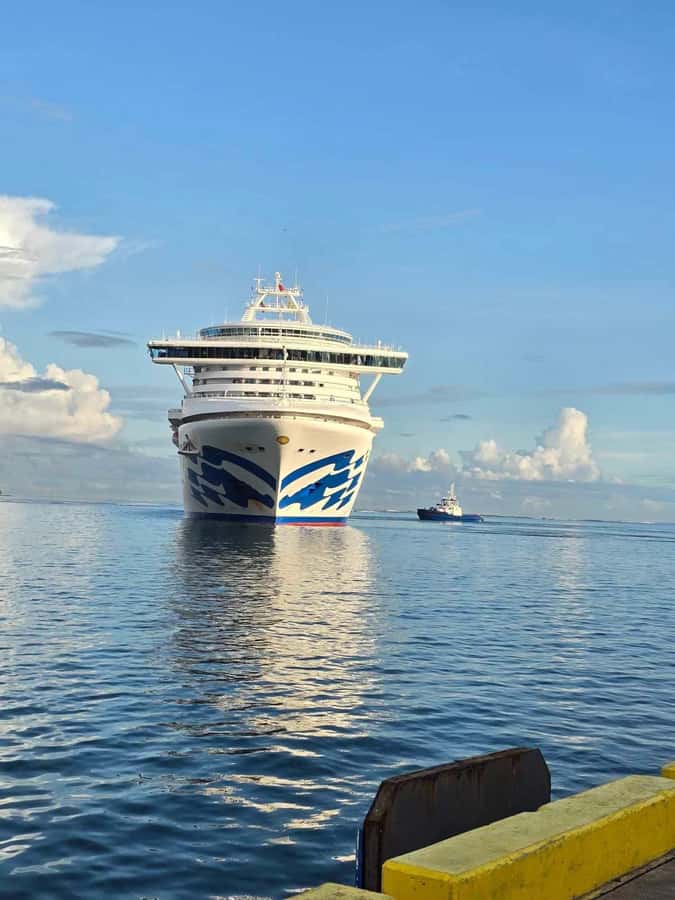 Apia Port: Cruise Guests’ Shore Excursion - Sopoaga Falls and a Short Viewpoint Stop