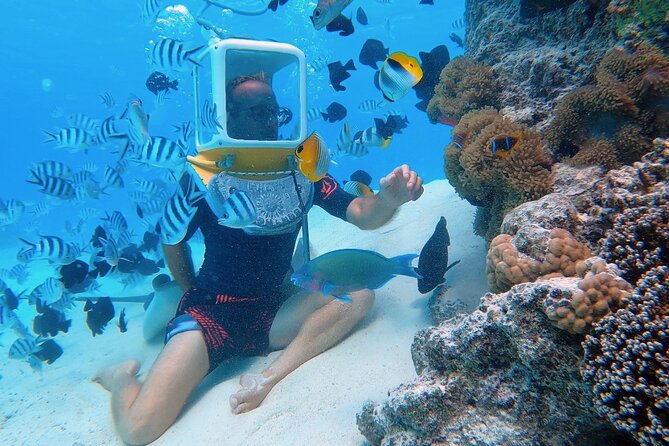 Aqua Safari Introductory Helmet Dive (Underwater Walk) - Walking beneath Bora Bora’s lagoon surface
