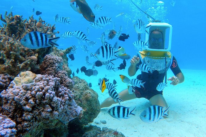 Aqua Safari Introductory Helmet Dive (Underwater Walk) - From pickup boat to coral garden