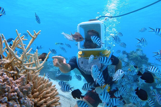 Aqua Safari Introductory Helmet Dive (Underwater Walk) - What you see at 10 feet below