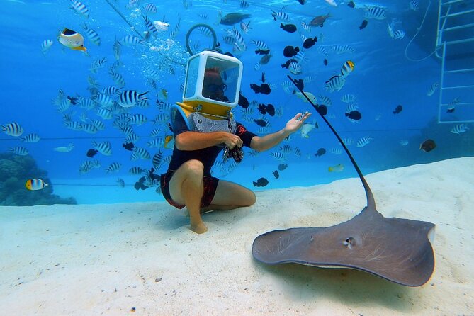 Aqua Safari Introductory Helmet Dive (Underwater Walk) - The guides handle the hard parts