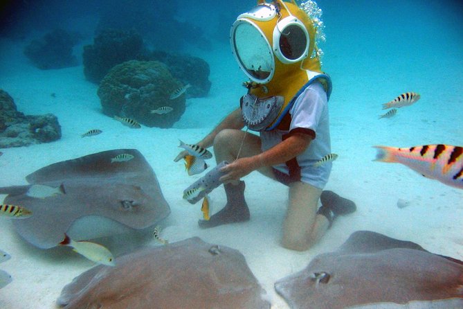 Aquablue Moorea - How the guides shape the experience