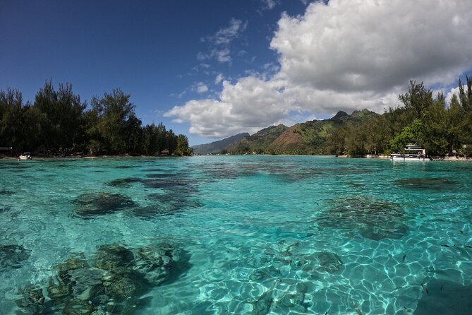 Aquablue Moorea - Is $111.44 a fair price?