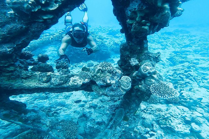 Ariki Adventures: Premium Sea Scooter Shipwreck Adventure - Key points at a glance