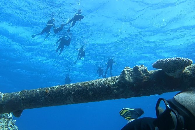Ariki Adventures: Premium Sea Scooter Shipwreck Adventure - The shipwreck is the star of this Avarua sea safari