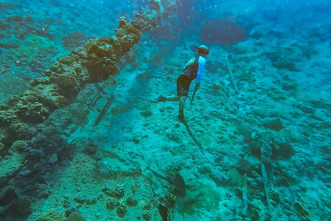 Ariki Adventures: Premium Sea Scooter Shipwreck Adventure - What you may see beneath the electric-blue water