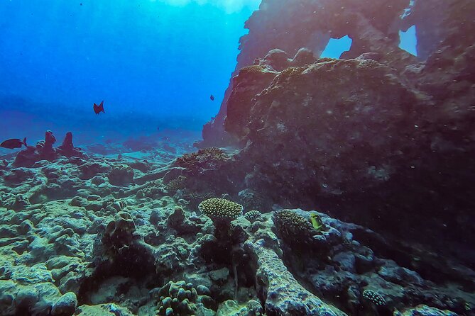 Ariki Adventures: Premium Sea Scooter Shipwreck Adventure - Timing, meeting point, and weather
