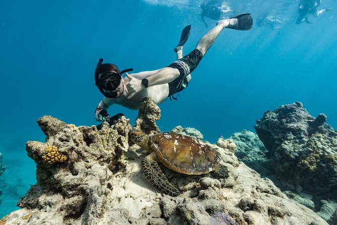 Ariki Adventures: Premium Sea Scooter Turtle Adventure - Safety, equipment, and the needs of less-confident swimmers